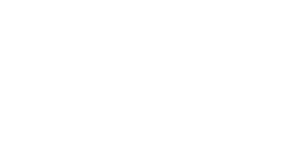 Stone Stomper Stone Guard